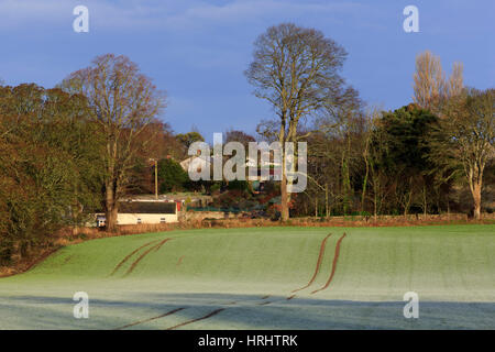 Frost bedeckt Ackerland, Marlfield Dorf, County Tipperary, Irland Stockfoto