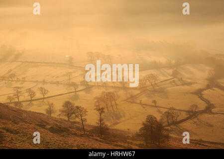 Nebel und frostigen Sonnenaufgang über dem Skelett Bäumen und Feldern gesäumte Schafe im Winter, Castleton, Peak District, England, UK Stockfoto