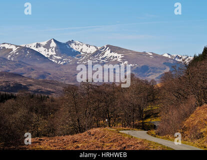 Blick Richtung Stob Ban und grauen Hochgebirgsflora, Roy Bridge, Highlands, Schottland, Vereinigtes Königreich Stockfoto