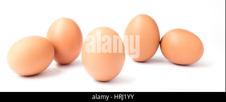 5 organische Hühnereiern isoliert auf weiss. Stockfoto