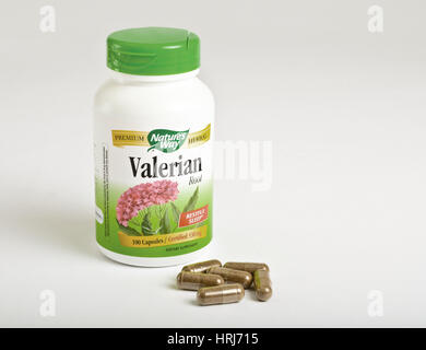 Baldrian-Wurzel "Kapseln" Stockfoto