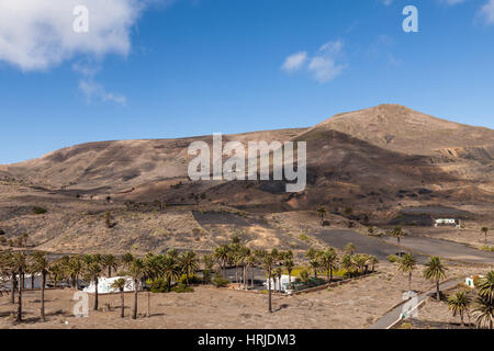 Dorf Haria in Lanzarote, Lanzarote, Kanarische Inseln, Spanien Stockfoto