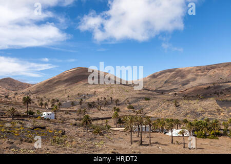 Dorf Haria in Lanzarote, Lanzarote, Kanarische Inseln, Spanien. Stockfoto