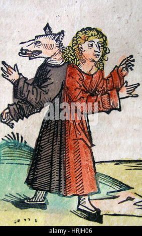 Wolfsjunge, Schedelsche Weltchronik 1493 Stockfoto