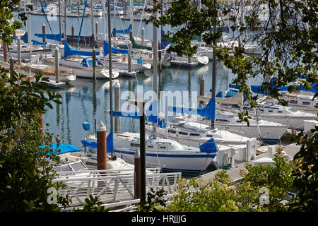 Yachten im Hafen Stockfoto