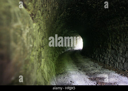 Hunedoara, Rumänien, 6. September 2009: ein verlassenes Steam Train Tunnel in den Bergen von hunedoara. Stockfoto