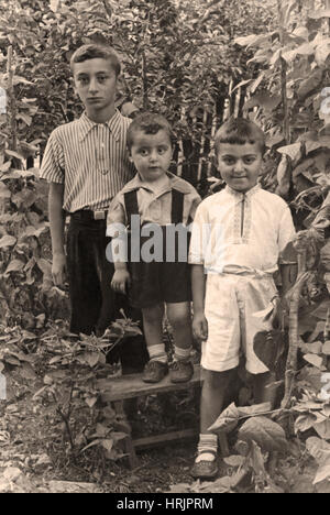 Altes Foto,1958 Stockfoto