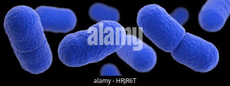 Listeria Monocytogenes Bakterien, 3D-Modell Stockfoto