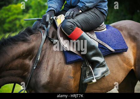 Nahaufnahme eines Reiters tragen schwarze Reitstiefel, saß auf einem Bucht Pferd. Stockfoto