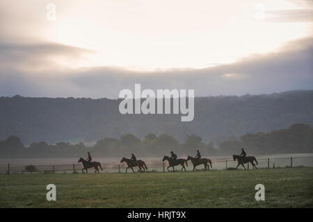 Gruppe von fünf Personen auf Pferden reiten in einem Feld unter einem Himmel mit Sonne und Wolken. Rennpferde auf die Galoppaden. Stockfoto