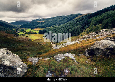 Glenmacnass Wasserfall, Wicklow in Irland. Herbst Blick auf grüne Wälder und den Fluss. Stockfoto