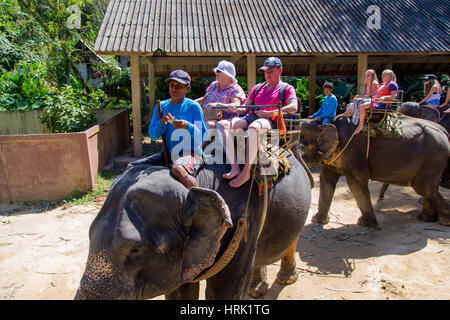 Thailand, Phuket - 19. Februar 2017: Elefanten-trekking durch den Dschungel in Thailand Stockfoto