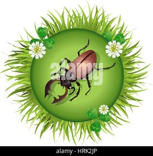 Insekt und Sommer-Natur-Symbol. Hirschkäfer auf einer Lichtung in einem Kreis rund um Blumen Stock Vektor