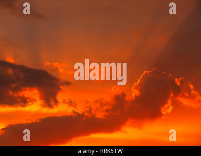 Schönen flammenden Sonnenuntergang Landschaft und orangefarbenen Himmel als Hintergrund. Sommer Sonnenaufgang Aussicht Stockfoto