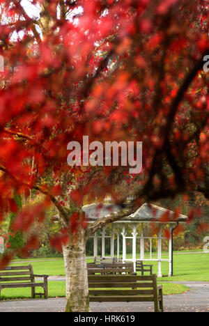 Herbst in Valley Gardens, Harrogate Stockfoto