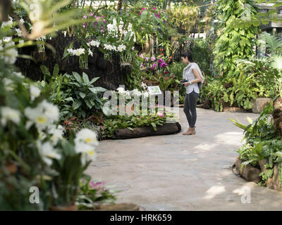 Junge Frau anzeigen Orchideen bei Tropical Dream-Zentrum, Botanischer Garten in Ocean Expo Park, Motobu, Okinawa, Japan Stockfoto