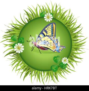 Insekt und Sommer-Natur-Symbol. Schmetterling auf einer Lichtung in einem Kreis rund um Blumen Stock Vektor