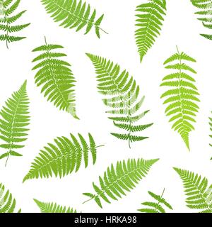 Farn Wedel Silhouetten Musterdesign. Vektor-illustration Stock Vektor