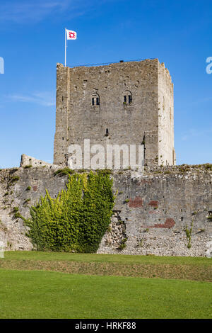 Der Bergfried am Porchester in der Wintersonne und die Außenwände mit Efeu Klettern sie Porchester Porchester, Hampshire, UK Stockfoto