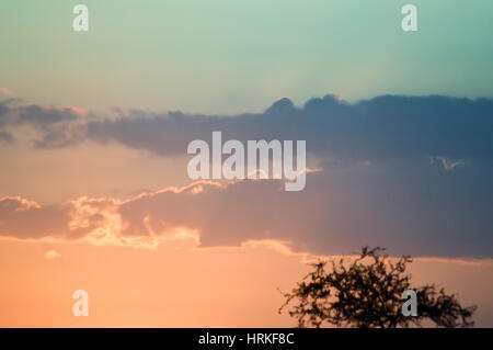 Sonnenuntergang über der Savanne West Tsavo Park in Kenia Stockfoto