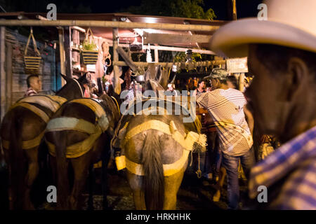 Gruppe von Maultieren vor Bauer Gasthaus. Feier der ländlichen Parteien der Gemeinde Carmen de Viboral, Kolumbien. Stockfoto