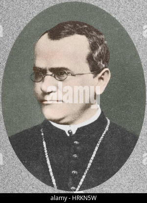 Gregor Mendel, Vater der Genetik Stockfoto