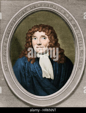 Anton Van Leeuwenhoek, niederländischer Mikrobiologe Stockfoto