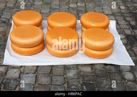 traditionelle Händler Käsemarkt in Gouda / Niederlande Stockfoto