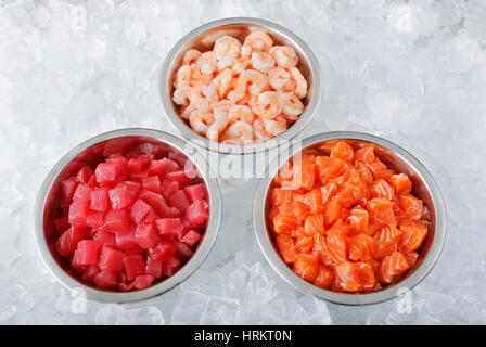 Drei Schalen der geschnittenen rohen Fisch auf Eis; Thunfisch, Lachs und Garnelen Stockfoto