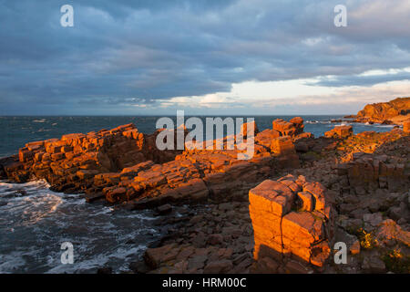 Felsige Küste von Hovs Hallar, Naturschutzgebiet entlang der Ostsee auf der Halbinsel Bjäre, Skåne / Scania, Schweden Stockfoto