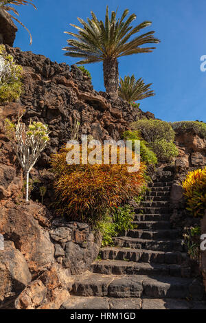 Jameos del Agua auf der Insel Lanzarote, Kanarische Inseln, Spanien Stockfoto