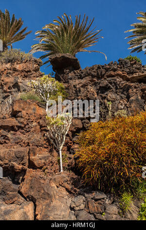 Insel Lanzarote, Jameos del Aqua, See in vulkanischen Höhle, Kanarische Inseln, Spanien 