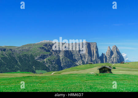 Panorama der Dolomiten Berge von Seiser Alm in Südtirol Stockfoto