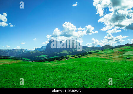 Blick auf die Dolomiten Gebirge von Seiser Alm in Südtirol Stockfoto