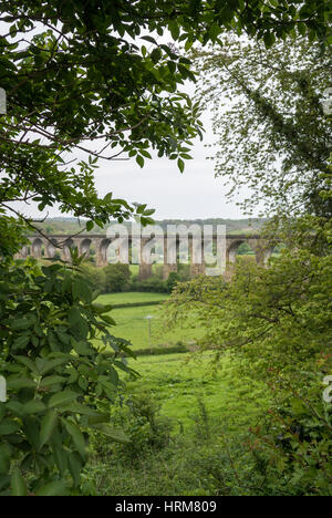 Cefn Mawr Viadukt durch Bäume aus dem Chirk Kanal betrachtet Stockfoto