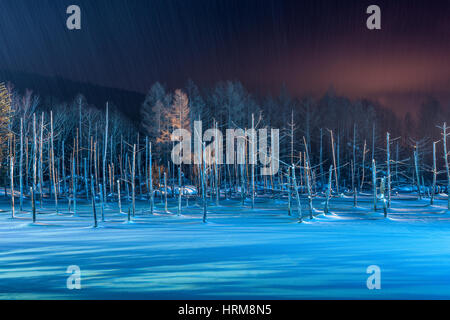 Biei, Japan am Aoike blauen Teich im Winter. Stockfoto