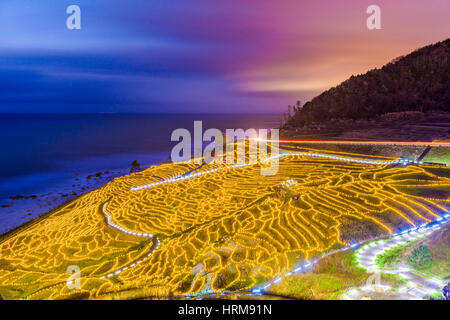 Wajima, Japan am Shiroyone Senmaida Reis-Terrassen in der Nacht. Stockfoto