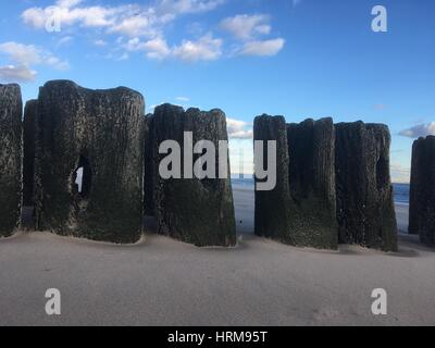 Reihe von verwitterten Holzmasten aus einer alten Pier am Strand eine Dämmerung. Haunting Reste von hölzernen Pier auf der sandigen Küste von Coney Island, New York. Stockfoto