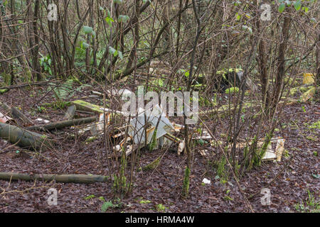 Hausmuell fliegen - Trinkgeld in einer Ecke des Waldes. Ein Beispiel der Umweltverschmutzung, Schuttplatz. Stockfoto