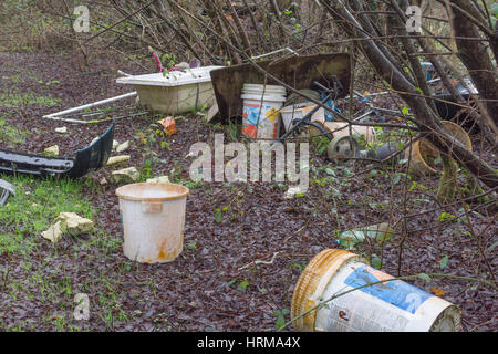 Hausmuell fliegen - Trinkgeld in einer Ecke des Waldes. Ein Beispiel der Umweltverschmutzung, Schuttplatz. Stockfoto