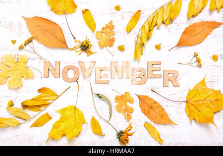 Das Wort "November" mit gelben Blätter auf einem weißen Hintergrund aus Holz. Herbst-Zusammensetzung Stockfoto