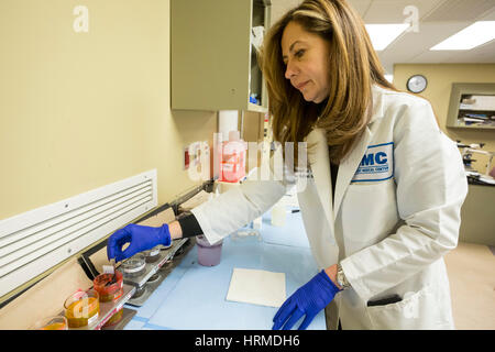 Detroit, Michigan - Dr. Rouba Ali, ein Pathologe an der Detroit Medical Center, Flecken Gefrierschnitte von Gewebe aus der Gebärmutter vor der Prüfung es un Stockfoto