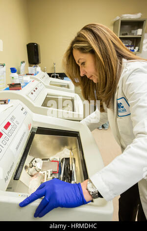 Detroit, Michigan - Dr. Rouba Ali, ein Pathologe an der Detroit Medical Center, Scheiben Gewebe aus der Gebärmutter in der Lage sein, ihn unter einem Microscop zu untersuchen Stockfoto