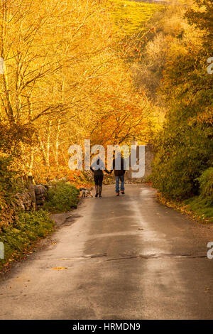 Der Mann und die Frau zu Fuß zu Ihrem Hund Hand in Hand entlang eines goldenen sonnigen Herbst Lane im englischen Peak District England Großbritannien Stockfoto