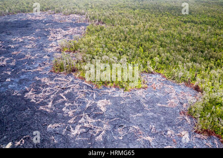 Luftaufnahme des kürzlich erstarrte Lavaströme hielt mitten im Wald auf dem aktiven Vulkan Kilauea auf Big Island, Hawaii, USA. Stockfoto