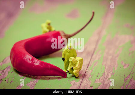 Gruppe von Personen im Schutzanzug Inspektion Chili-Pfeffer. Makro-Fotografie Stockfoto