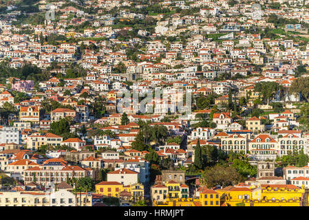 Stadt am Hang - Luftbild von Funchal, Madeira Insel, Portugal Stockfoto