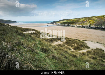 Sanddünen Dünengebieten Grass Crantock Beach Gannel Mündung Newquay Cornwall England UK Stockfoto