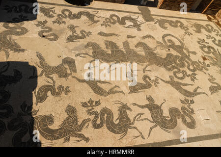 Bäder von Neptun, römischen Mosaikboden in Ostia Antica, römische Stadt. Rom in Italien. Stockfoto