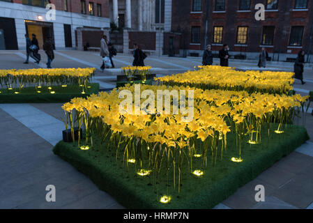 London, UK. 2. März 2017. Mitglieder der Öffentlichkeit anzeigen The Garden of Light, bestehend aus 2.100 Narzissen, das zur Zeit auf dem Display in Paternoster Square neben der St. Pauls Kathedrale. Jede Narzisse repräsentiert eine Marie Curie Nurse, als Symbol für die Betreuung und Unterstützung, die sie von der unheilbaren Krankheit betroffenen Familien geben. Als Teil der großen Narzisse Nächstenliebe wird die Anzeige auf andere Standorte in Großbritannien im März verschoben werden. Bildnachweis: Stephen Chung/Alamy Live-Nachrichten Stockfoto